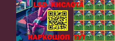 ПСИЛОЦИБИНОВЫЕ ГРИБЫ Вязники
