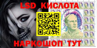 ПСИЛОЦИБИНОВЫЕ ГРИБЫ Вязники
