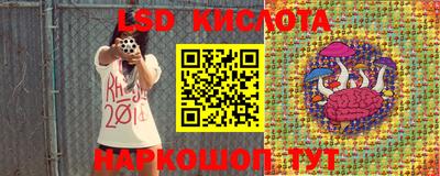 ПСИЛОЦИБИНОВЫЕ ГРИБЫ Вязники