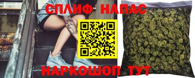 ПСИЛОЦИБИНОВЫЕ ГРИБЫ Вязники