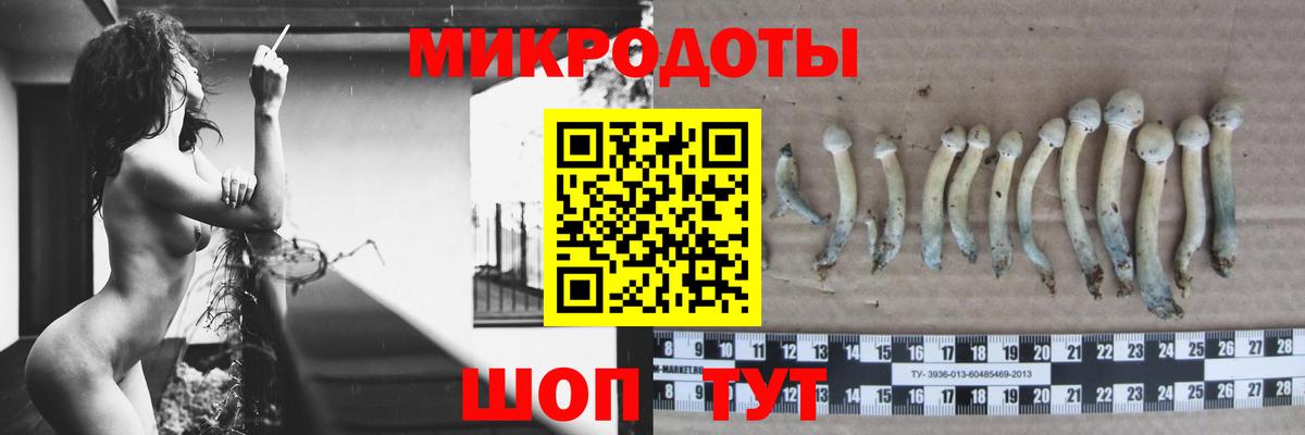 Псилоцибиновые грибы мухоморы Ишимбай